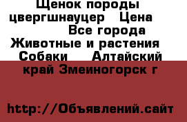 Щенок породы  цвергшнауцер › Цена ­ 30 000 - Все города Животные и растения » Собаки   . Алтайский край,Змеиногорск г.